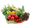 Veggie
